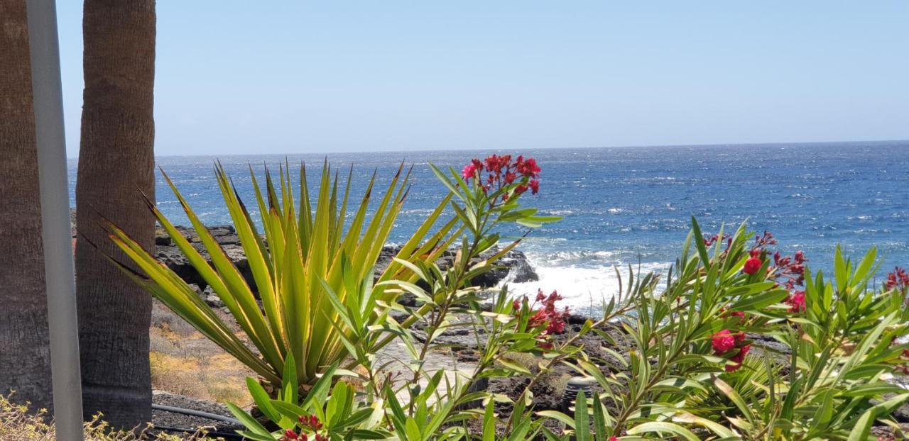 Cosy Well Located Apartment Tenerife Sur Golf Сан-Мігель-де-Абона Екстер'єр фото