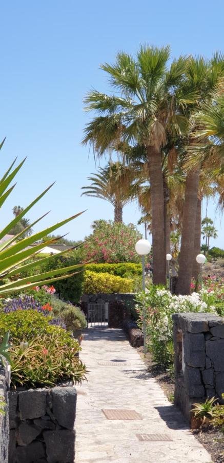 Cosy Well Located Apartment Tenerife Sur Golf Сан-Мігель-де-Абона Екстер'єр фото